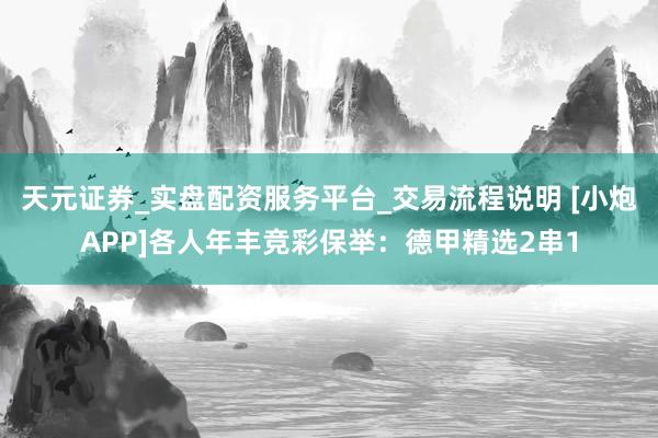 天元证券_实盘配资服务平台_交易流程说明 [小炮APP]各人年丰竞彩保举：德甲精选2串1