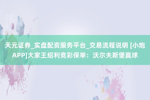 天元证券_实盘配资服务平台_交易流程说明 [小炮APP]大家王绍利竞彩保举：沃尔夫斯堡赢球